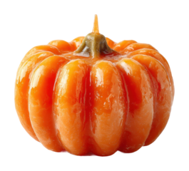 Harvest season pumpkin on food isolated on transparent background