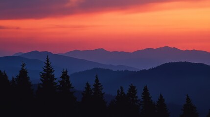 silhouette of distant mountain range outlined by fiery sky, conifer forest shadowed in cool twilight