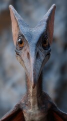 Close-up of a detailed Pterodactyl