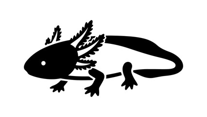 Axolotl amphibian with transparent background