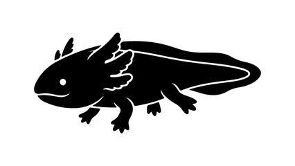 Axolotl amphibian with transparent background