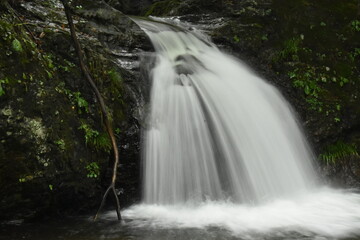 Obraz premium 滝の淵