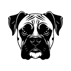 Boxer dog head with transparent background