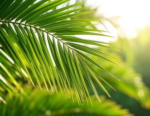Close-up of vibrant palm fronds