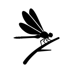 Dragonfly perched on branch with transparent background