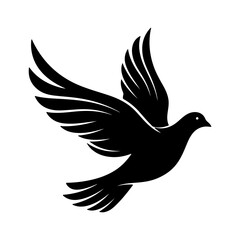 Flying dove with transparent background