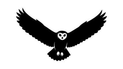 Flying owl with transparent background