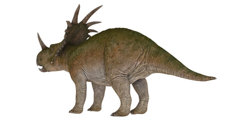 Realistic depiction of a Styracosaurus dinosaur.