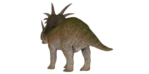 Styracosaurus model with distinctive horn features.