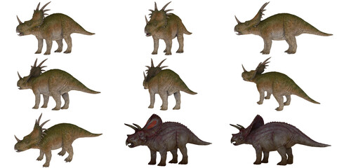 Various ceratopsid dinosaurs in different poses