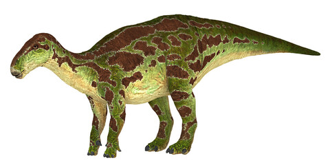 Obraz premium Illustration of a colorful prehistoric dinosaur.