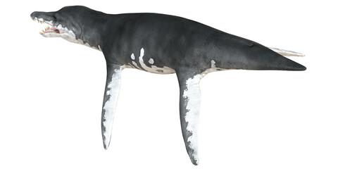 Majestic Liopleurodon in profile view © Ilie