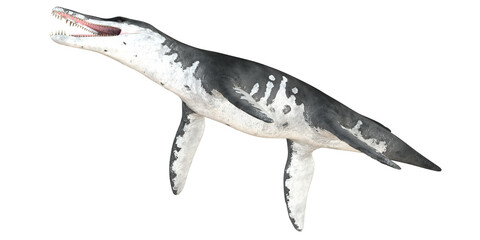 Realistic 3D model of a prehistoric marine reptile