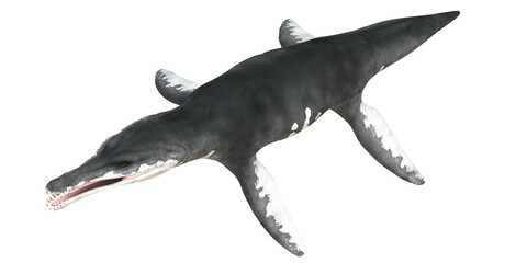 Realistic 3D rendering of a prehistoric marine predator