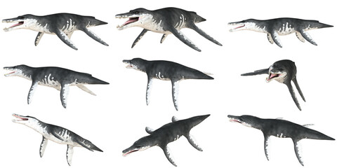 Various angles of a prehistoric marine reptile.