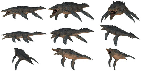 Nine poses of a prehistoric aquatic creature.