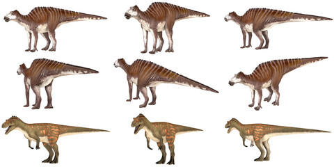 Various dinosaur species illustrations.