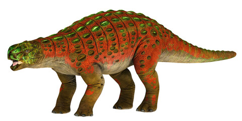 Colorful dinosaur with armored plates on white background.