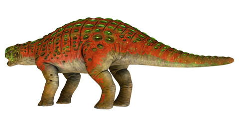 Colorful armored dinosaur on a white background