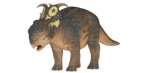 Illustration of a Pachyrhinosaurus dinosaur