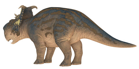 Illustration of a prehistoric dinosaur with notable frills.