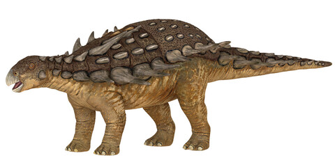 Obraz premium Detailed model of an armored Ankylosaurus.