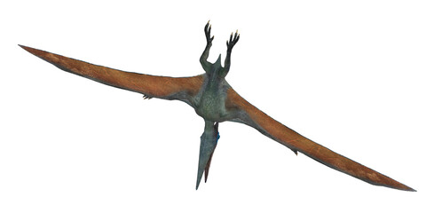 Pterodactyl soaring in the prehistoric sky. © Ilie