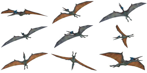 Colorful pterodactyls soaring in dynamic poses.