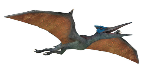 Fototapeta premium Illustration of a flying pterosaur in motion
