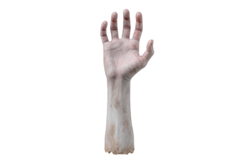 Raised zombie hand isolated on transparent background