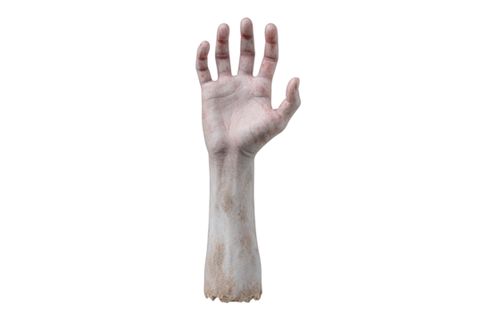 Raised zombie hand isolated on transparent background