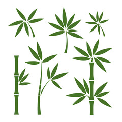Fototapeta premium Collection of stylized green bamboo plant illustrations.