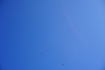 A clear blue sky is shown with two small birds flying in the lower part of the image. The scene is minimalistic, emphasizing open space and tranquility.