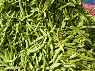 selective image of guar or cluster bean in dish also known in india as guwar, guar bean or cluster bean with the botanical name Cyamopsis tetragonoloba. Close up 