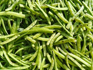 selective image of guar or cluster bean in dish also known in india as guwar, guar bean or cluster bean with the botanical name Cyamopsis tetragonoloba. Close up 