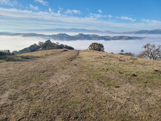 The hills in the East Bay region of Northern California peek above the winter fog in Danville,...