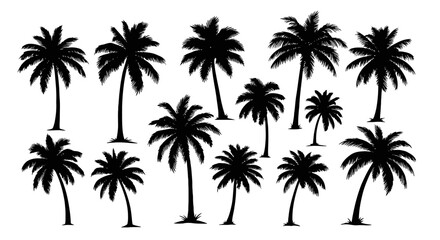 Silhouette Collection of Palm Trees for Tropical Design Projects, Summer Graphics, and Vacation-Themed Illustrations, Ideal for backgrounds, posters, and creative compositions.