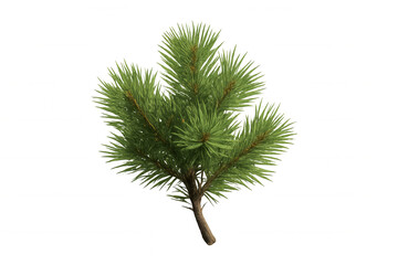 Lush green pine tree branch with visible needles, isolated on a transparent background, perfect for nature-themed projects