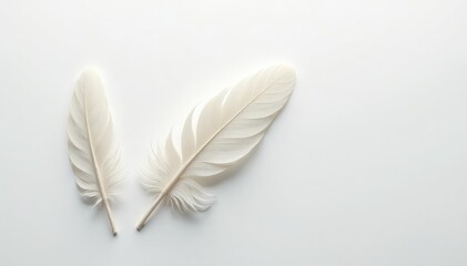 Crisp white feathers on seamless white surface, nature, soft, subtle