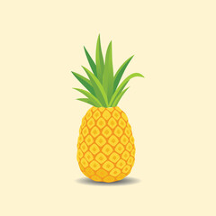 isolated Pineapple Fruit illustration EPS Vector
