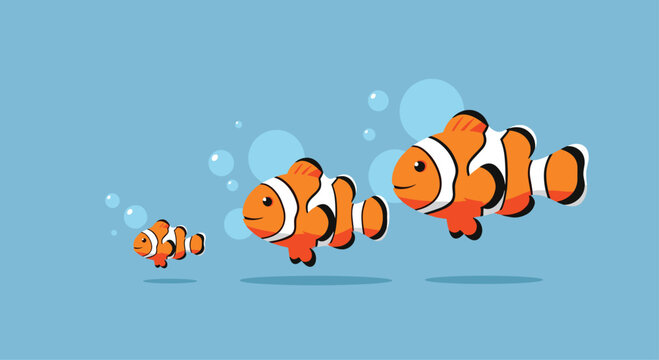 A family of clownfish swims in clear blue water.