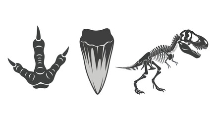 Dinosaur Fossils: Footprint Tooth and Skeleton.