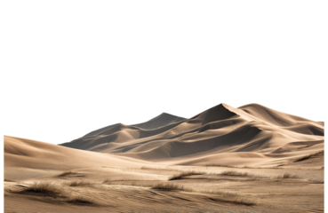 A series of desert sand dunes under a bright sky, isolated on transparent background