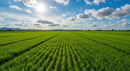 Aerial view of a farm showcasing fields, crops, and rural landscape.
