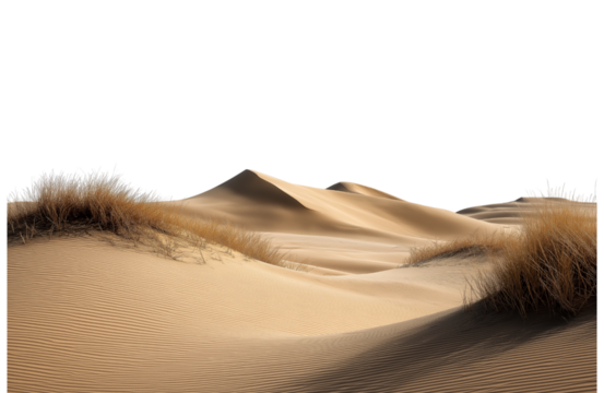 Sand dunes with dry grass isolated on transparent background