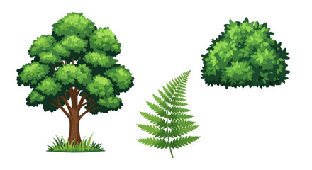 Fototapeta premium Illustration of a tree fern and bush showcasing natural elements in vibrant green.