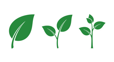 Fototapeta premium Green Leaf and Sprout Growth Stages Vector Illustration.