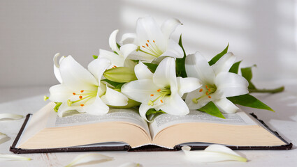 Elegant Fresh White Lily Blossom with Open Book for Easter Decoration