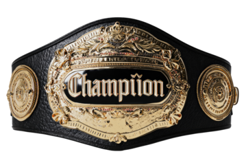 Championship belt, black leather, gold accents