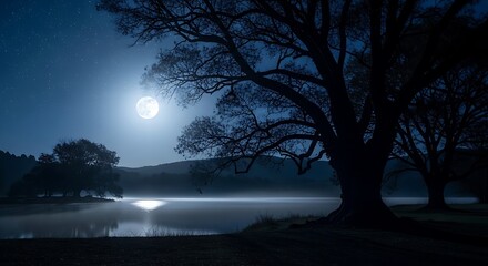 Fototapeta premium Beautiful moonlight over lake with tree silhouette 